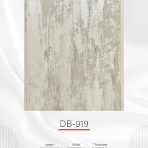 DB-919